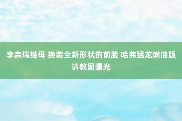 李宗瑞继母 换装全新形状的前脸 哈弗猛龙燃油版请教图曝光