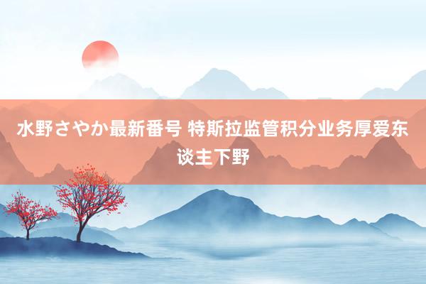 水野さやか最新番号 特斯拉监管积分业务厚爱东谈主下野